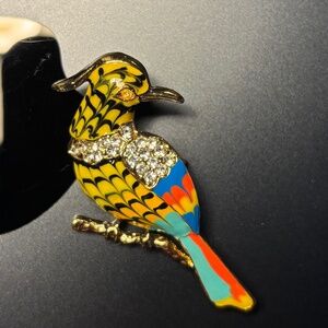 Colorful Bird Brooch